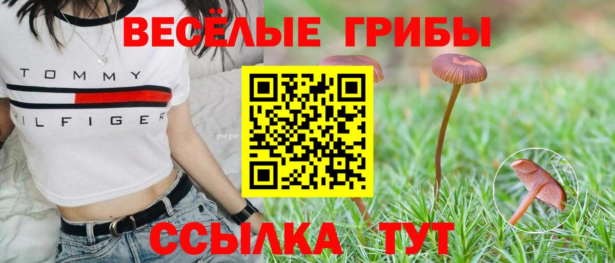 Псилоцибиновые грибы мухоморы Норильск
