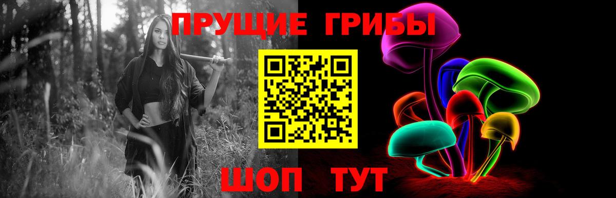 Норильск  Псилоцибиновые грибы Psilocybine cubensis  Вход с VPN 