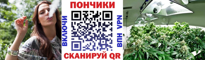 наркота  Норильск  Шишки марихуана Ganja 